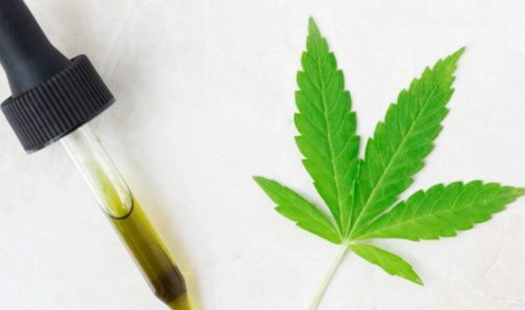 Cannabis oil in medicine dropper and cannabis leaf on a isolated white background